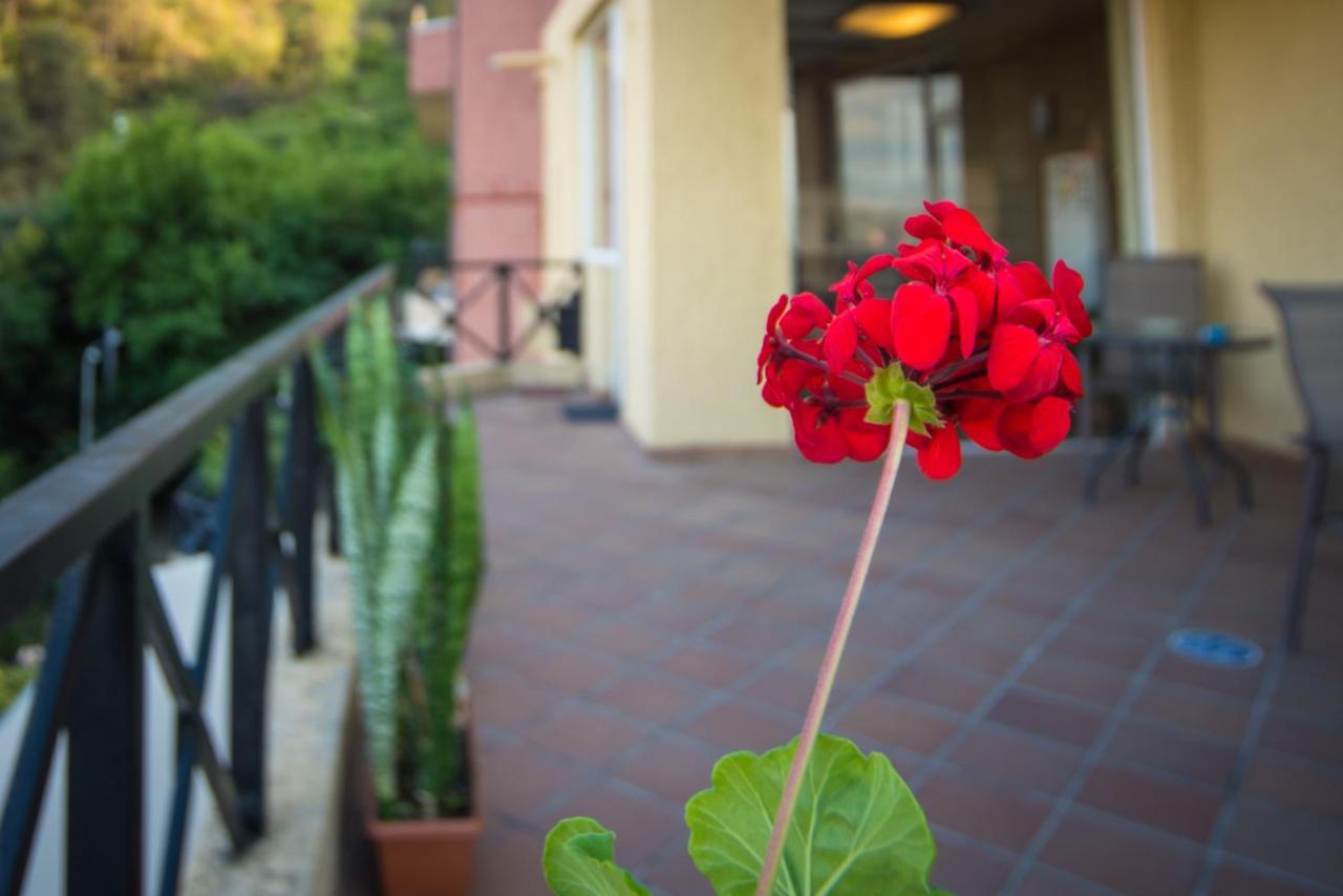 מלון Terrace House טביליסי מראה חיצוני תמונה